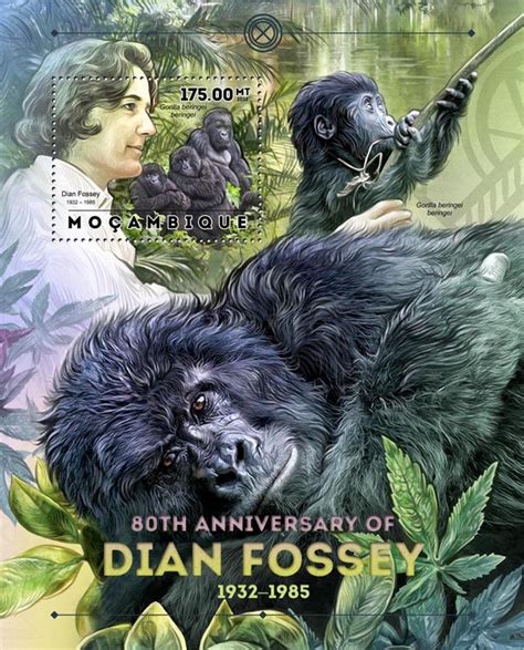 Dian Fossey And Gorillas