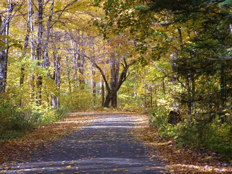 Beautiful Country Road In Fall Free Stock Photo Public Domain Pictures