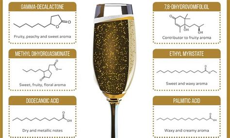 The Science Of Champagne Daily Mail Online