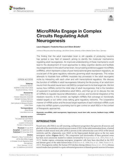 pdf micrornas engage in complex circuits regulating adult neurogenesis