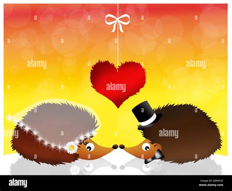 Hedgehogs In Love Stock Photo Alamy