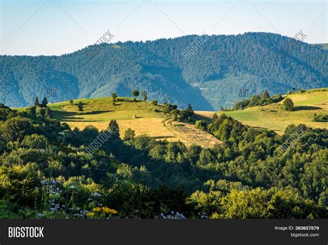 Green Nature Scenery Image And Photo Free Trial Bigstock