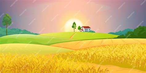 Premium Vector Wheat Fields Illustration