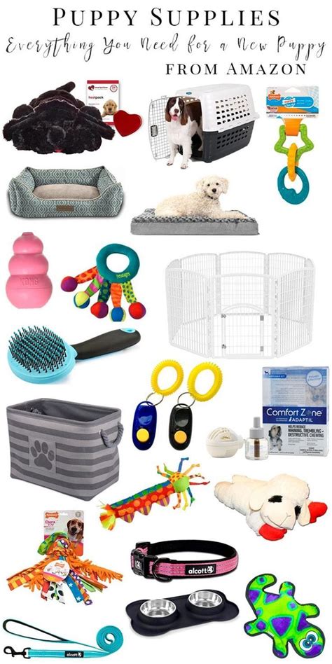 Puppy Supplies What You Need For A New Puppy Puppy Supplies Dog