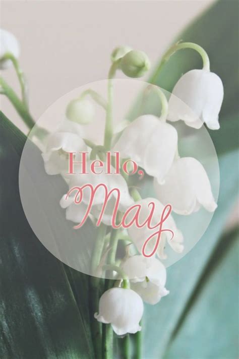 Welcome May Quotes For Printrest And Tumblr Oppidan Library