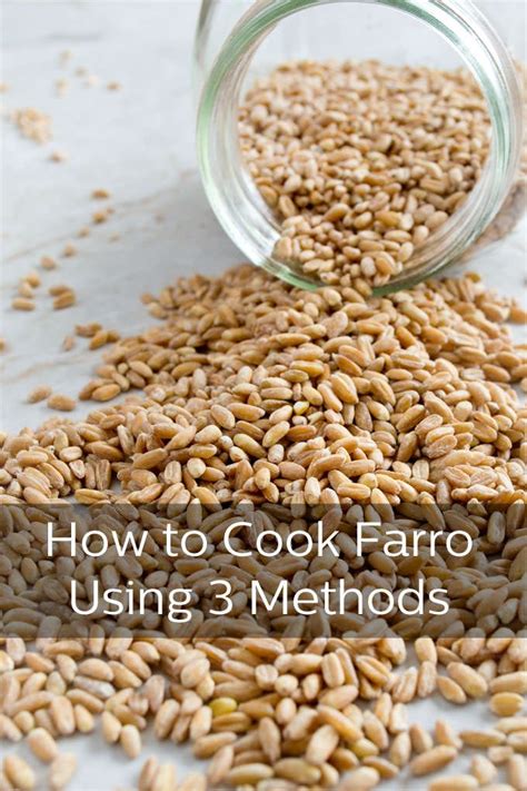 How To Cook Farro Step By Step Photos Budget Bytes Artofit