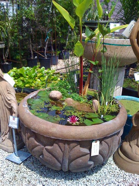 The main difference being that a container water garden is more exposed to the air temperatures during the hot summer and cold winter months, but this is completely manageable with the tips provided in. Pin by paula mabrey on tiny shovels pond and bog | Indoor water garden, Small water gardens ...