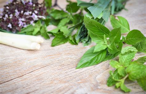 Premium Photo Fresh Herbs And Spices With Sweet Basil Lemon Grass Holy Basil Peppermint Leaf