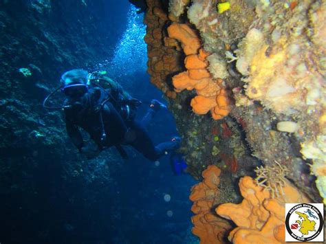 Habitats Reefs Caverns Caves Canyons Walls Kalymnos Diving Center