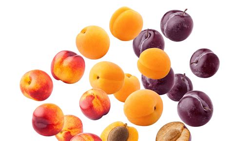 Examples Of Stone Fruits