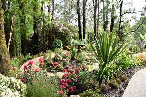 Chelsea Australian Garden At Olinda People And Parks Foundation