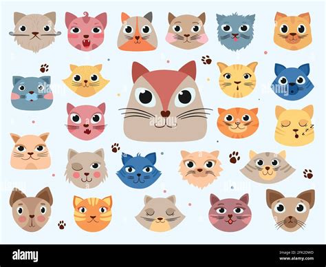 Kitty Head Funny Animals Domestic Colored Cats Different Emotions