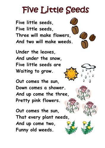 Themed Poems Ks1 Seeds And Plants Teaching Resources Preschool