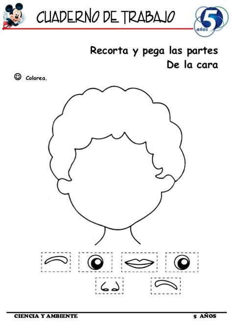Partes De La Cara Para Completar Y Colorear Partes De La Cara En Ingles Para Niños De Inicial
