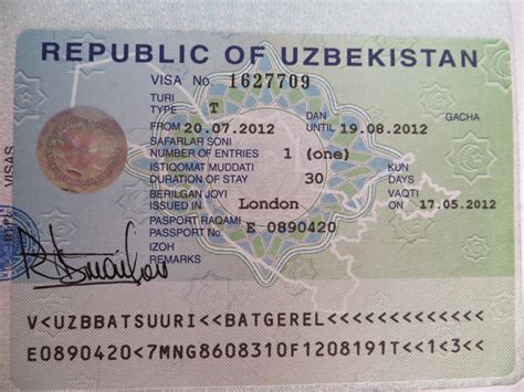 Bear Trakker The Visas