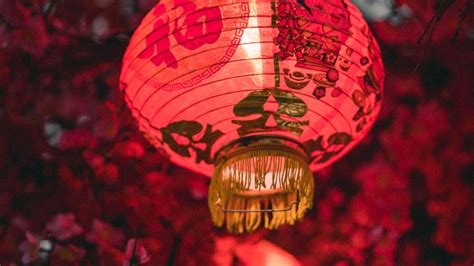Download Wallpaper 2560x1440 Lantern Chinese Holiday