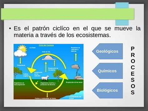 Los Ciclos Biogeoquimicos Definicion Importancia Clasificacion 2020 Images