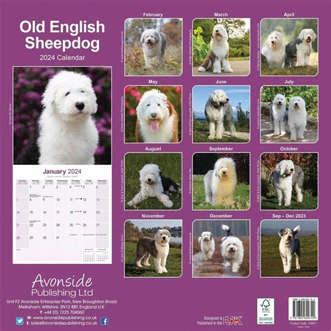 Avonside Bobtail Old English Sheepdog Calendar 2024 Hondenkalendersnl
