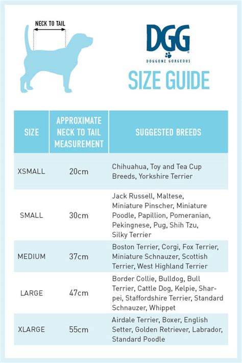 Puppy Collar Size Guide Dog Size Guide Measure For Collars Leads