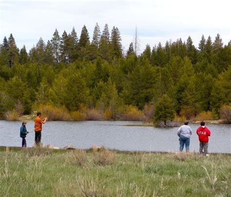 Sawmill Pond Fishing Threatened By Lack Of Cash Lake Tahoe Newslake