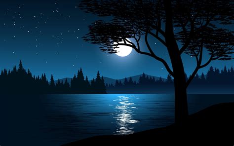 Moon Reflection On Lake At Night 1308870 Vector Art At Vecteezy