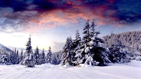 Winter Scene Wallpaper (51+ images)