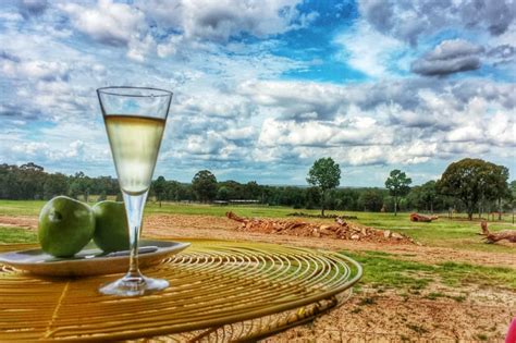 So next time you pass through dubbo, make a plan to stop for at. Why Dubbo Zoo & Zoofari Lodge is Like Being on a Real Safari