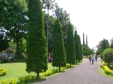 Check spelling or type a new query. Kebun Teh Wonosari Lawang - Jawa timur ~ East Java BackPacker