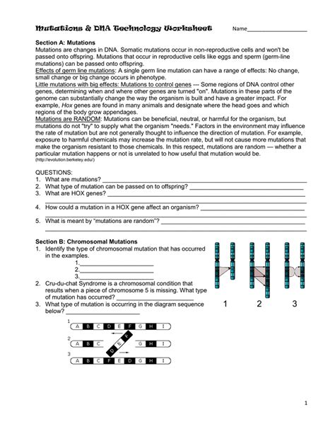 It creates the nick in one strand of dna and rotates freely to. Dna Technology Worksheet Answer Key - Nidecmege