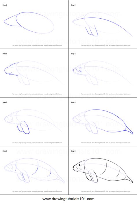 How to Draw a Sea Cow printable step by step drawing sheet