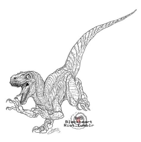 Drawing and coloring baby raptor blue from jurassic world. Jurassic world blue raptor coloring pages | Рисунки ...
