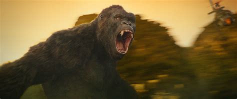 That serves as an origin story for king kong. It is the Rise of the King in new Kong: Skull Island ...