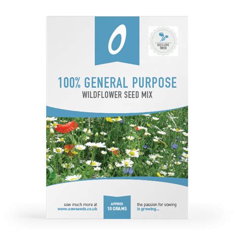 100 General Purpose Wildflower Meadow Seed Mix Quality Seeds From
