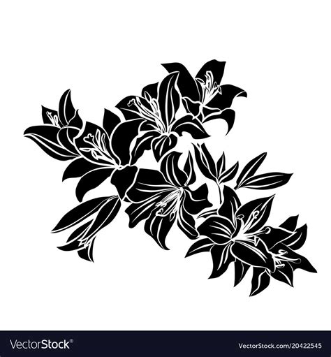 Black Silhouette Lily Royalty Free Vector Image