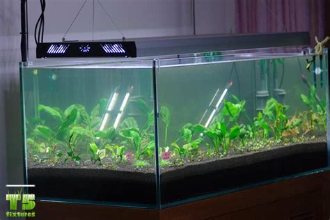 Best Aquarium Lights T5 Fluorescent Lights T5 Grow Light Fixtures
