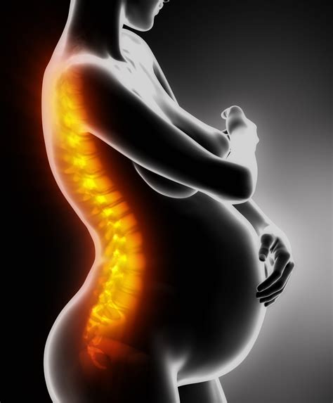 Lower Back Pain During Pregnancy Well Health Pro