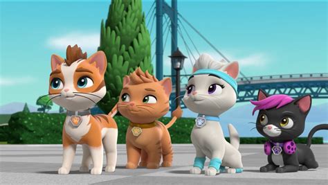 The Cat Pack In 2022 Paw Patrol Cartoon Paw Patrol Coloring Paw