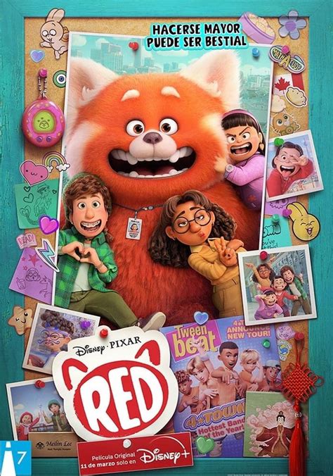 Red Película Ver Online Completas En Español