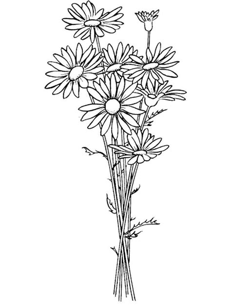 Images of flowers coloring pages. Daisy Flower coloring pages. Download and print Daisy ...