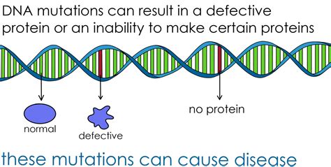 Gene Therapy — Definition And Examples Expii