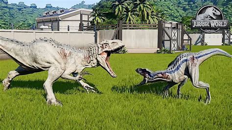 Indoraptor Gen Vs Indominus Rex Battle Jurassic World Evolution