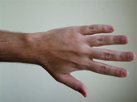 Free fotobanka ruka noha prst paže nehet zblízka Lidské tělo kůže detail smysl