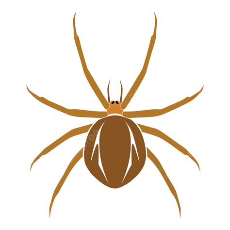 Spider Vector Logo Illustration Vector Logo Png And Vector With