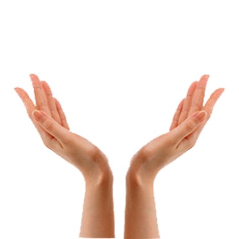 Hand Png Image Purepng Free Transparent Cc0 Png Image Library Images