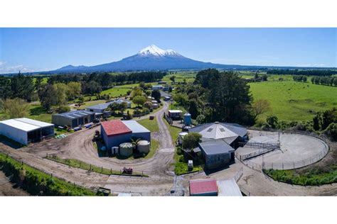For Sale Wow A 314 Hectare Dairy Farm Nz