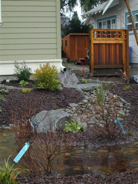 A lush rain garden in a small suburban chicago backyard saves water, reduces pollution and provides a lot of fun! Rain Garden- ideas for redirecting rain water into the ...