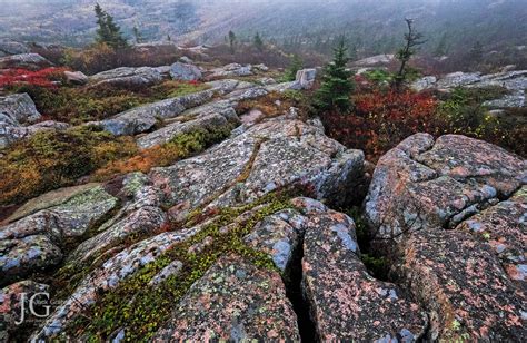 One Opening Left Fall Color In Acadia National Park Jack Graham