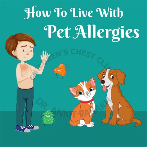 How To Live With Pet Allergies Dr Ankit Parakh