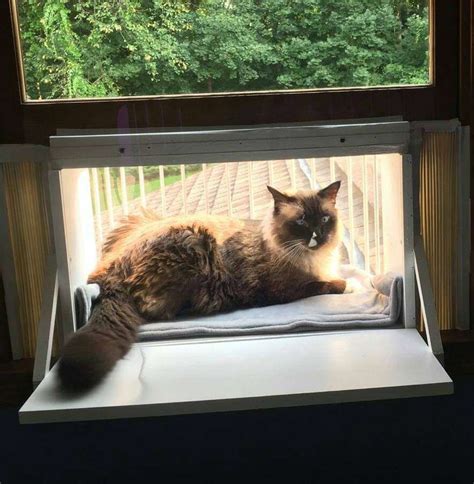 Cat Window Box Cat Solarium The Cat Window Box Catio Cat Balcony