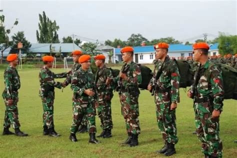 Pasca Naik Persen Tabel Gaji TNI Untuk Tamtama Hingga Perwira Yang Cair Pada Desember